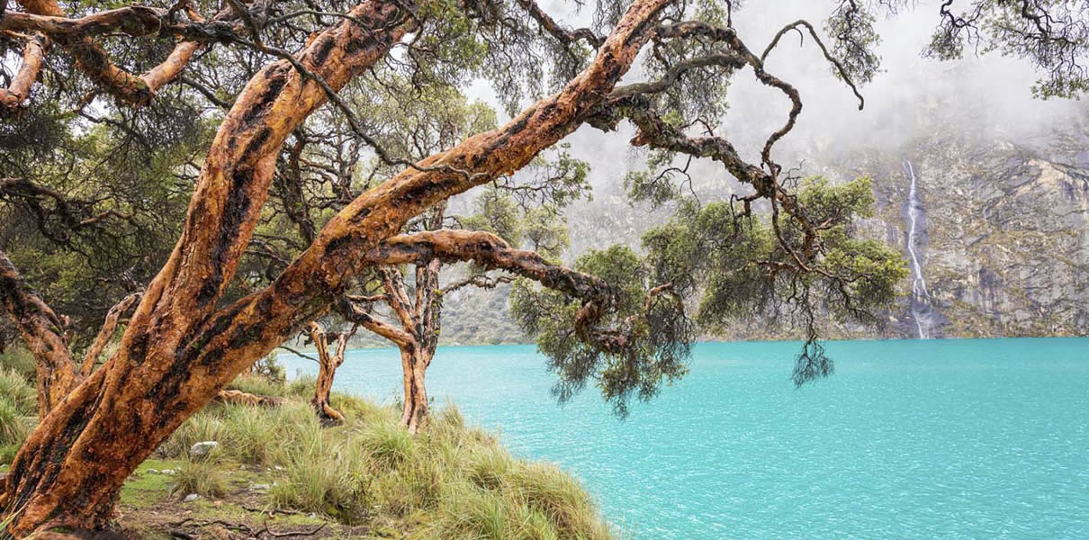 vena cojo autobús Paquetes de Viajes Luna de Miel Huaraz - Ancash 2023, Paquetes Turisticos de Luna de Miel en Huaraz, Luna de miel Huaraz, Programas y Viajes Luna de Miel en Huaraz Ancash Perú, vena cojo autobús Paquetes de Viajes Luna de Miel Huaraz - Ancash 2023, Paquetes Turisticos de Luna de Miel en Huaraz, Luna de miel Huaraz, Programas y Viajes Luna de Miel en Huaraz Ancash Perú,